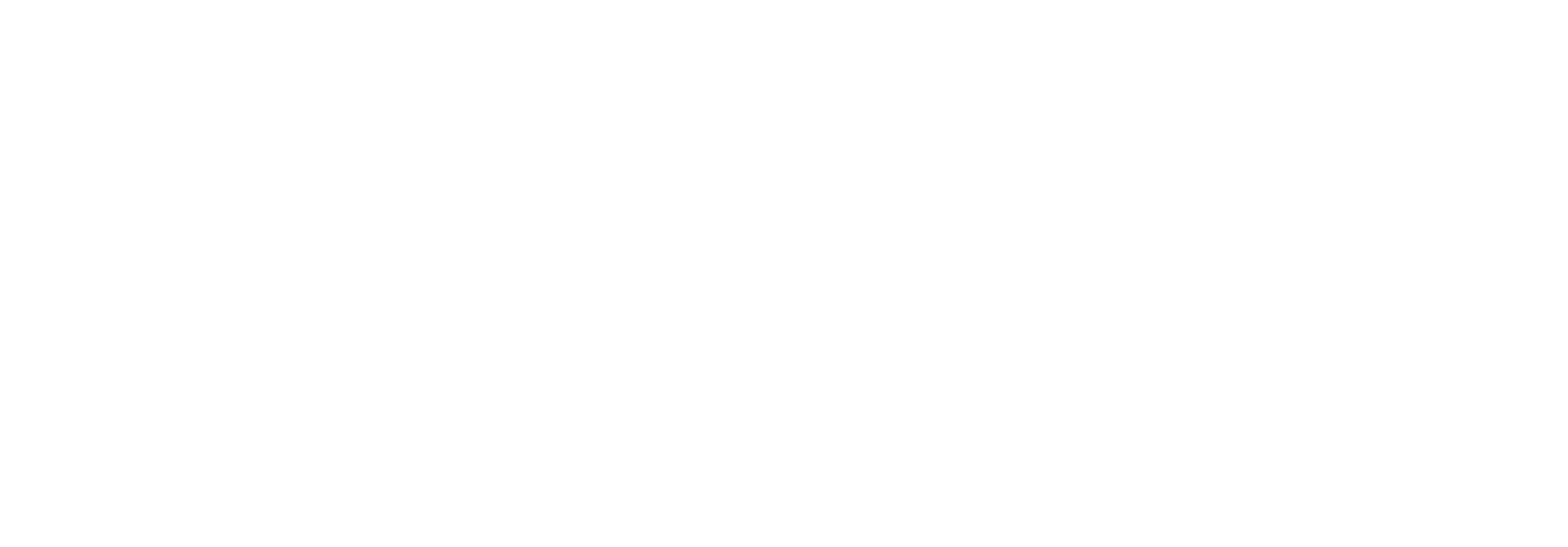 logo bianco azienda territoriale per i servizi alla persona Valle Imagna Villa d'Almè